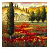 Tuscany in Bloom II