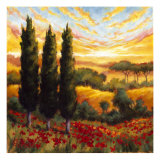 Tuscany in Bloom IV