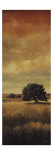Five Oaks II