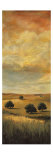Five Oaks I