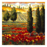 Tuscany in Bloom III