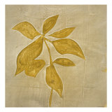 Leaf Fresco IV