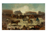 Bullfight in a Village