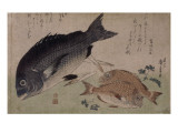 Poissons