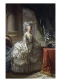 Marie-Antoinette d'Autriche  reine de France (1755-1793)  en robe à paniers vers 1785