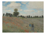 Coquelicots  environs d'Argenteuil