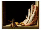 Still Life with Cardoon and Parsnips  1604