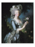 La reine Marie-Antoinette dit "à la Rose" (1755-1793)