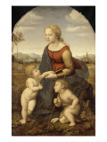 La Vierge à l'Enfant avec le petit saint Jean-Baptiste dite "La Belle Jardinière"