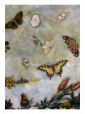 Table : L'Air