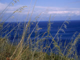View of the Sea Through Grasses Atop a Hill
