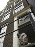 Schnauzer Dog Sitting on Stoop  Amsterdam  Holland