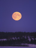 Moonrise over a Lake in the Winter  Northwest Territories  Canada