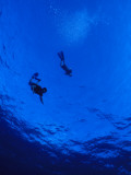Snorklers Diving into a Deep Blue Tropical Ocean