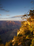 Grand Canyon from Yavapai Point  South Rim  Grand Canyon  Arizona