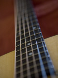 Close View of a Guitar  Annapolis  Maryland  United States