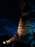 Massive Limestone Column Called the Rock of Ages  Carlsbad Caverns National Park  New Mexico