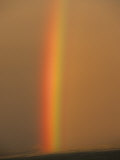 Rainbow over Alaskan Tundra  Denali National Park  Alaska