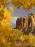 Yellow Leaves of Fall Frame a Rock Formation  Santa Fe  New Mexico  USA