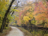 Towpath Along the Chesapeake and Ohio Canal One Autumn Day