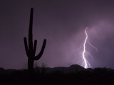 Single Lightning Bolt Strikes in the Desert During Monsoon Season  Arizona