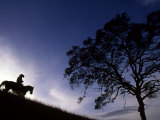 Silhouette of Cowboy  Picabo  Idaho