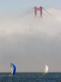 International 14 Skiffs Race under the Golden Gate Bridge  San Francisco Bay  California