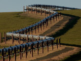 Alaska Pipeline Zig Zags across the Arctic Tundra  North Slope  Alaska