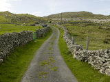 Country Road Lined with Stone Walls  Inishturk Island  County Mayo  Ireland