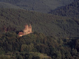 Castle Berwartstein Nestled in Thick Mountain Forest  Nature Park Pfaelzer Forest  Wasgau  Germany