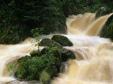 Ravenna Creek Rushing in Small Waterfalls over Mossy Rocks