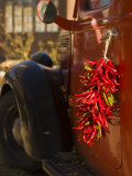 Chile Hang from the Door of an Old Truck  Santa Fe  New Mexico  USA