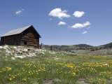 Log Cabin on the High Country Ranch on the Continental Divide  Tres Piedras  New Mexico