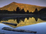 Sunlight on Francisco Peaks and Reflections  Lockett Meadow  Flagstaff  Arizona