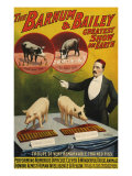 Barnum and Bailey  Poster  1900