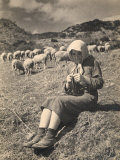 Young Shepherd Girl Sitting in a Field