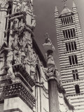 The Bell Tower and Part of the Cathedral's Facade  Siena