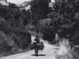 Man on Mule on a Country Road
