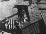 Woman Hanging the Laundry Out to Dry