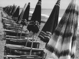 Beach Umbrellas and Lawn Chairs Closed on a Beach