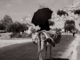 Pack Mule on a Street in the Hills