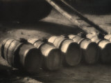 Row of Casks in a Cellar