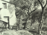 Country View of a Rural Residence Surrounded by Trees