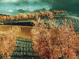 Countryside in Tuscany