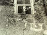 Vase of Flowers under a Window on the External Wall of an Old House