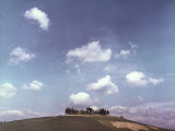 Countryside in Siena