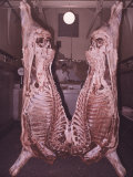 Ox  Quartered