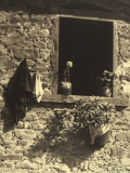 Country Window