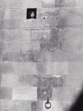 Pigeons in a Hole in the Wall of the Bargello Palace in Florence