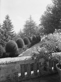 Garden of the Villa Palma Created by the Toschi Firm